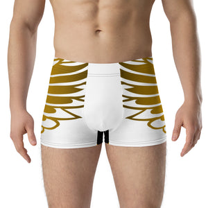 T.F.N.L Designer Boxer Briefs